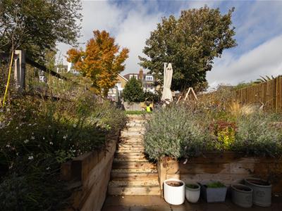 Picture 29